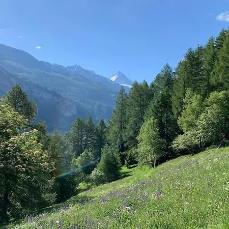 Gemuetliches Im Zentrum *