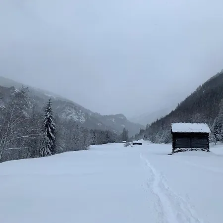 Gemuetliches Im Zentrum Appartement