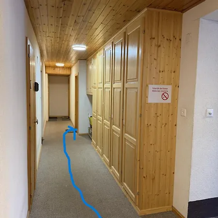 Gemütliches Im Zentrum Apartment Evolène