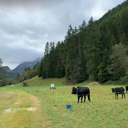 Gemuetliches Im Zentrum Appartement Evolène
