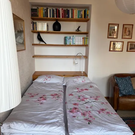 Gemuetliches Im Zentrum Apartment Evolene